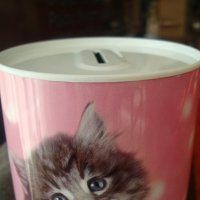 Котенце - цилиндрична касичка от метал, снимка 3 - Подаръци за рожден ден - 21003792