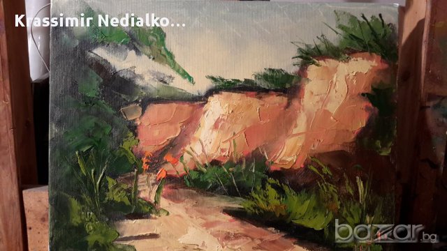 Продавам картини, снимка 5 - Картини - 17072176