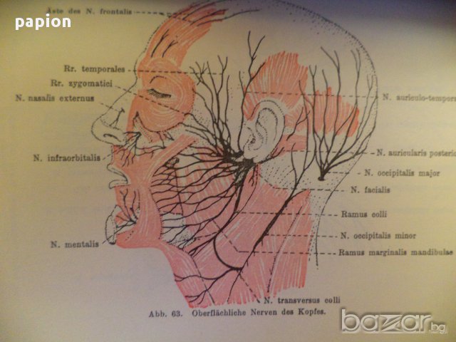 АНАТОМИя 1959 ГЕРМАНИя, снимка 4 - Художествена литература - 9400369
