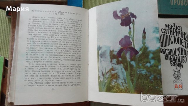 стари книги :Бабит ,Историята на единъ великъ изобретатель, снимка 10 - Чуждоезиково обучение, речници - 17145821