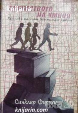 Безумството на умния: Хроника на един безсмислен живот , снимка 1