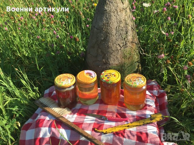 Родопски пчелен мед, снимка 3 - Пчелни продукти - 22675761