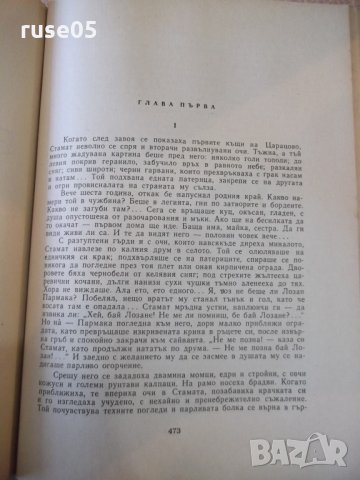 Книга "За свободата - Стефан Дичев" - 928 стр., снимка 5 - Художествена литература - 24722933