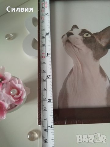 Декоративна рамка, снимка 5 - Декорация за дома - 25468631