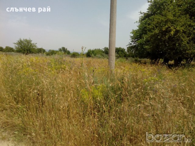 продава парцел в к.к.Слънчев бряг, снимка 6 - Парцели - 15026787