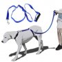 Хуманна каишка (повод) за кучета instant trainer, снимка 2