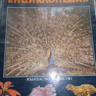 Детска енциклопедия - том 2 "Форми и багри в животинския свят“, снимка 1 - Енциклопедии, справочници - 15413523