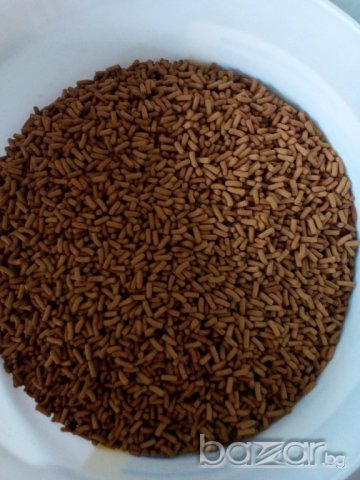 Насипна храна за рибки на тетра за цихлиди, снимка 3 - Рибки - 11501718