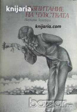 Възпитание на чувствата 