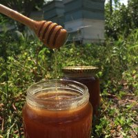 Мед (домашен, натурален, многоцветен букет), снимка 11 - Пчелни продукти - 22186355