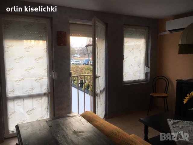 Боксионера под наем, снимка 5 - Стаи под наем - 24542098