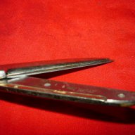 Стари ножици Richards of Sheffield Radiant Golden Age , снимка 9 - Антикварни и старинни предмети - 17274172