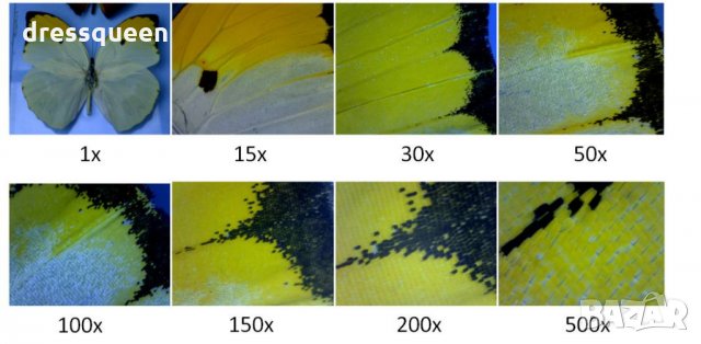 1134 USB дигитален микроскоп 500Х / 1000Х, снимка 12 - Други стоки за дома - 24890464
