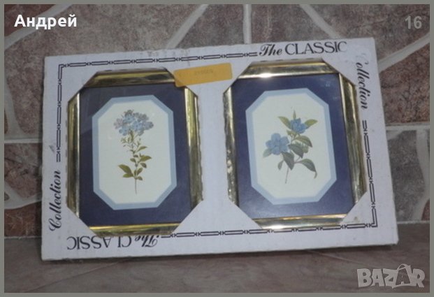 Двойка картини на горски цветя(билки?) в метални рамки със златен цвят