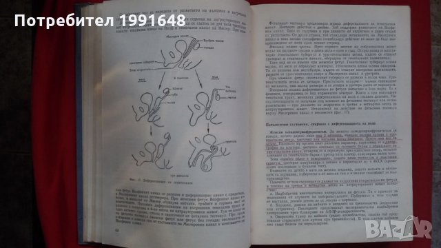 Книги за медицина: „Клинична педиатрия“ 2 част – проф. Бр.Братанов – народен деятел на науката, снимка 15 - Учебници, учебни тетрадки - 23999681