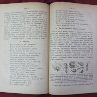 1891г. Учебник Имперска Русия, снимка 14 - Учебници, учебни тетрадки - 26198507