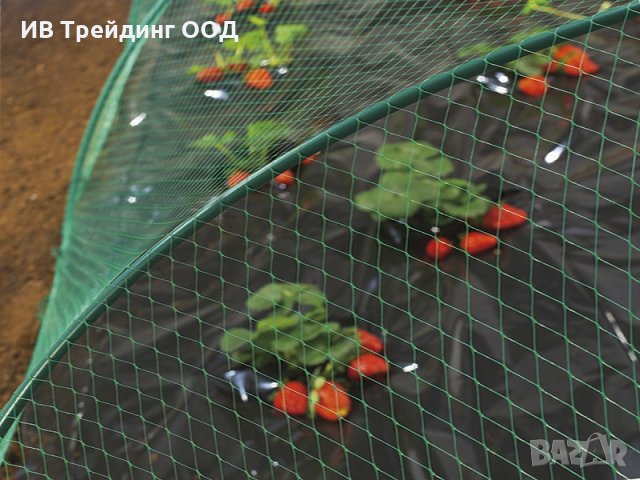 Мрежа за предпазване от  птици Пловдив, снимка 3 - Градински цветя и растения - 16832018