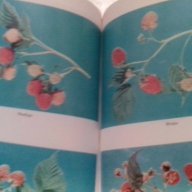 ягодоплодните култури в нашата градина-от земиздат, снимка 4 - Художествена литература - 9668997