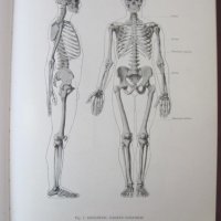 1971г. Медицинска Книга Анатомичен Атлас Том1-ви, снимка 4 - Други - 25936774