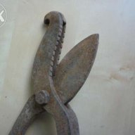 Старинни вет.медицински ножици за скопяване на животни, снимка 9 - Антикварни и старинни предмети - 11872098