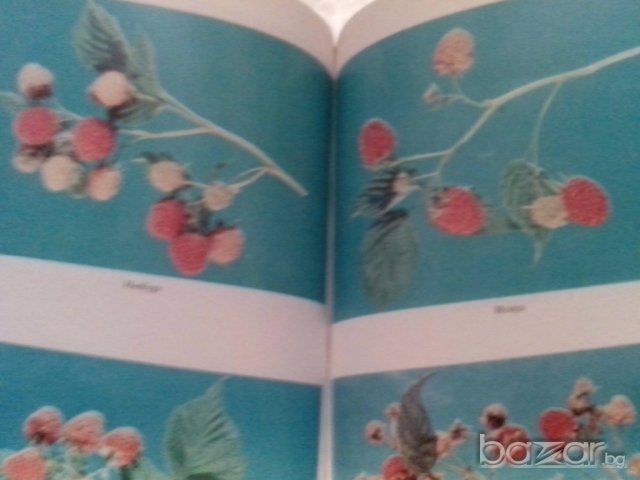 ягодоплодните култури в нашата градина-от земиздат, снимка 4 - Художествена литература - 9668997