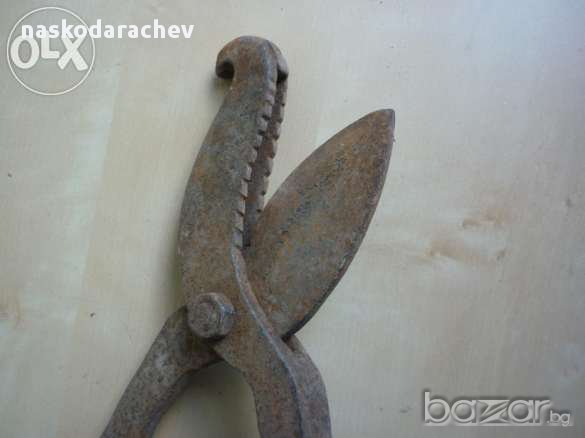 Старинни вет.медицински ножици за скопяване на животни, снимка 9 - Антикварни и старинни предмети - 11872098