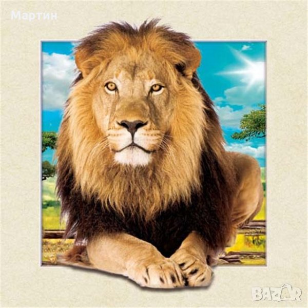 Лъв Постер 5D Lion , снимка 1