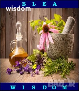 Курс по ароматерапия, снимка 1