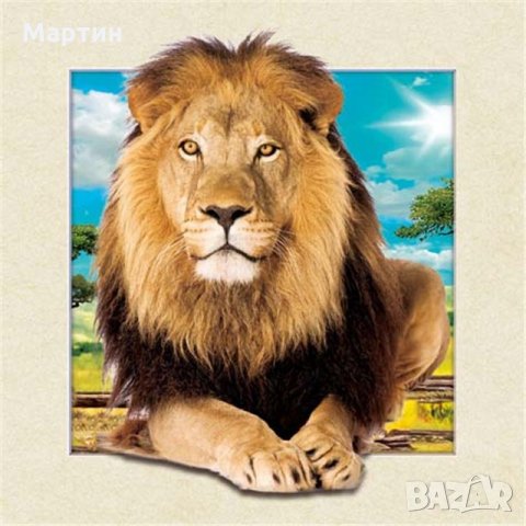 Лъв Постер 5D Lion , снимка 1 - Картини - 25972969