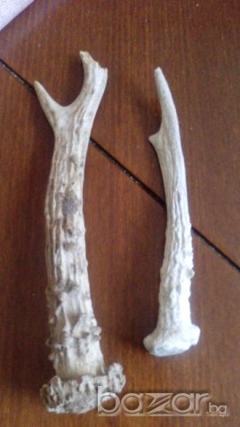 Рога от сръндак лот, снимка 1