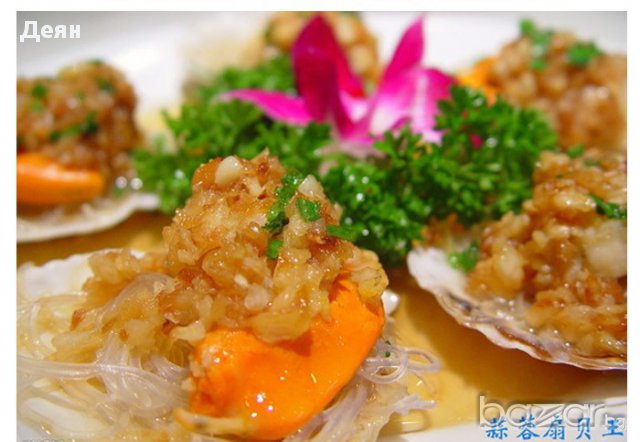 0727 Преса за чесън  Galic Pro, снимка 6 - Сокоизстисквачки и цитрус преси - 17429525