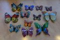 3D пеперуди за декорация с двойни крила СВЕТЕЩИ, снимка 2