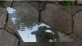Стъкла за Опел Аскона Ц и Астра Ф , снимка 3