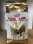 Royal Canin Pug Adult 1.5 кг / Специална храна за Мопс, снимка 1 - За кучета - 24720690