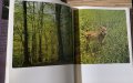 В лоното на дивата природа Албум Фотография, снимка 2