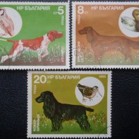 Пощенски марки от различни страни, снимка 3 - Филателия - 24330972