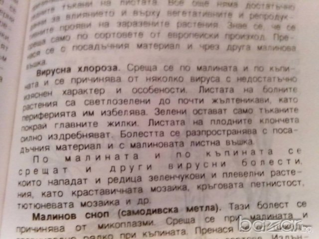ягодоплодните култури в нашата градина-от земиздат, снимка 3 - Художествена литература - 9668997