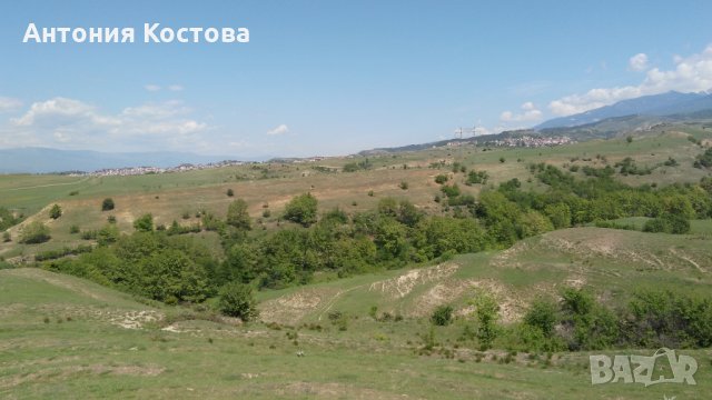 Продавам земя в с. Лешница, община Сандански, снимка 8 - Земеделска земя - 14247705