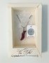 Колие Swarovski кристали в подаръчна опаковка, снимка 3