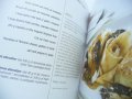 Книга с рецепти за канадски ястия на английски език. РАЗПРОДАЖБА, снимка 6