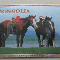  Голям автентичен магнит от Монголия-серия-1, снимка 2 - Други ценни предмети - 26058008