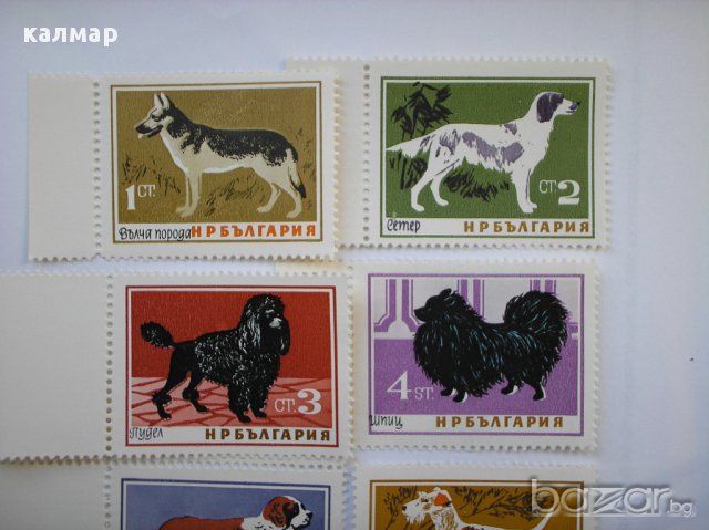 български пощенски марки - кучета 1964, снимка 2 - Филателия - 16051724