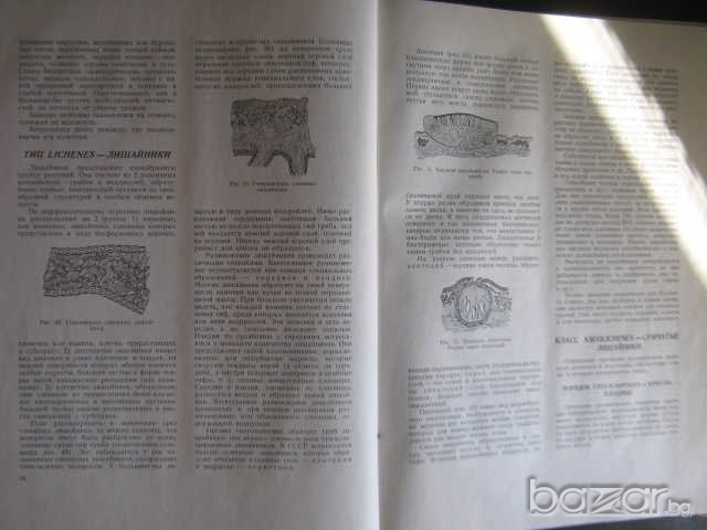 Книга "Ботанический атлас -Б.К.Шишкин" - 504 стр., снимка 3 - Учебници, учебни тетрадки - 7676453