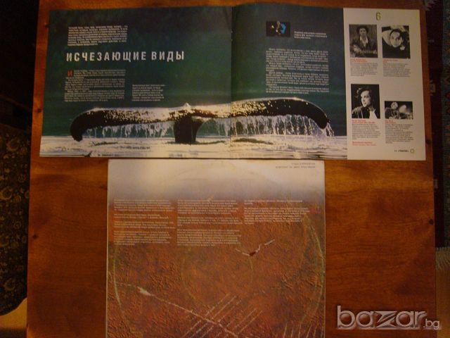 Грамофонни плочи- Greenpeace, снимка 5 - Грамофонни плочи - 8060624