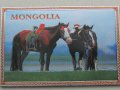  Голям автентичен магнит от Монголия-серия-1, снимка 2