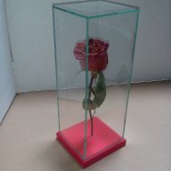 Роза за за свети валентин или 8 март, снимка 5 - Декорация за дома - 13751762