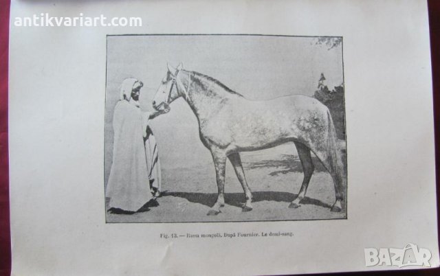1915год. Книга за Историята и Породите Коне, снимка 11 - Други - 24984265