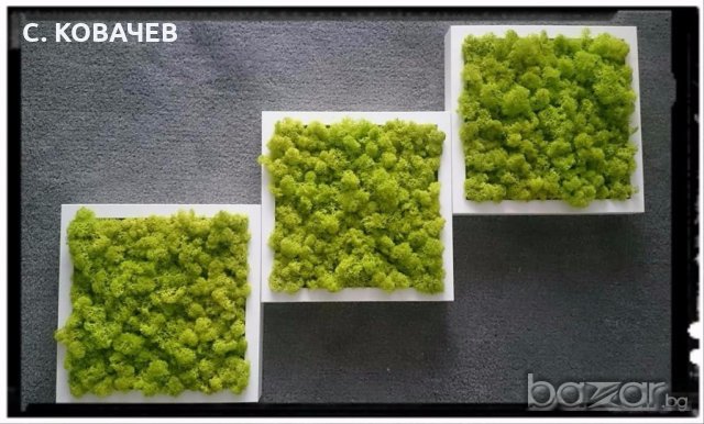 Уникални, модерни,свежи живи картини от естествен мъх.Градина в дома, снимка 5 - Декорация за дома - 19336040