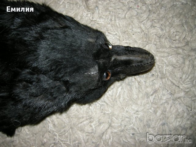 продавам стара яка от лисица, снимка 7 - Други - 14564717