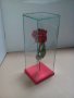 Роза за за свети валентин или 8 март, снимка 5